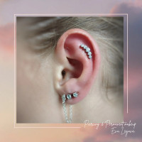 /album/fotogalerie-piercing/helix-piercing-wildcat-jpg/